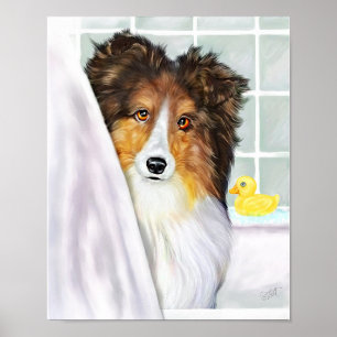 Sheltie Bath Sable Poster