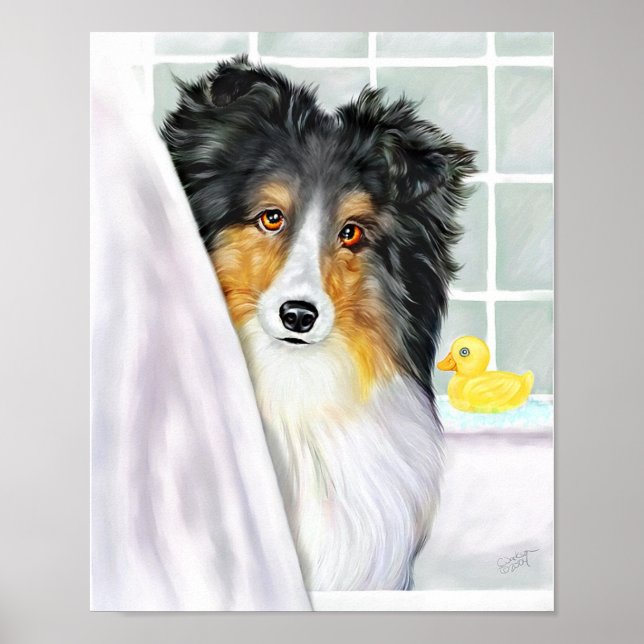 Sheltie Bath Tri Colour Poster (Front)