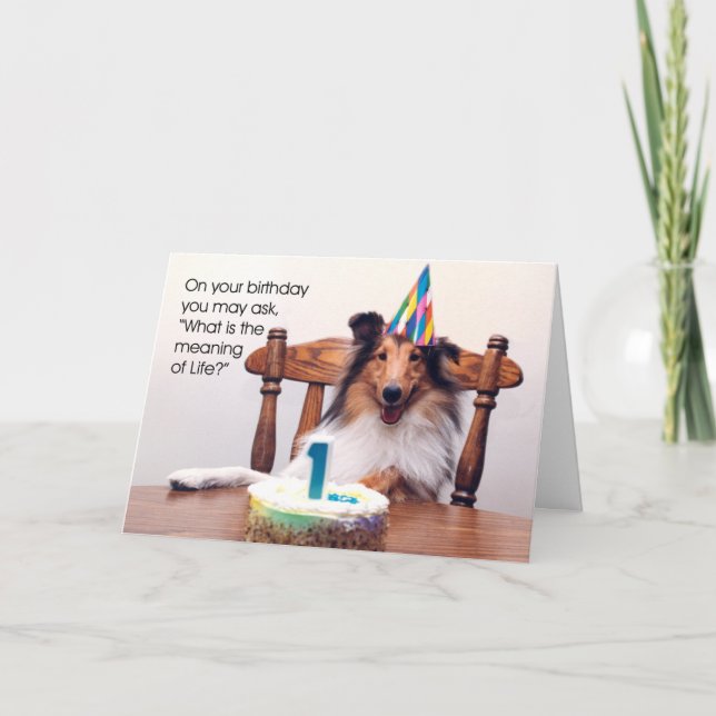 Sheltie Birthday Card (Front)