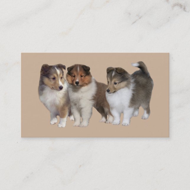 Sheltie Breeder Business Card (Front)