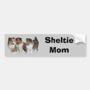 Sheltie Bumper Sticker