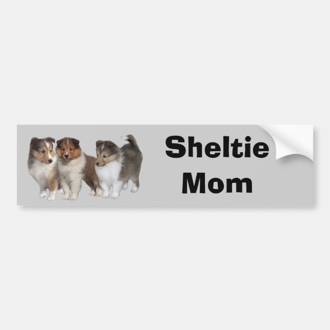Sheltie Bumper Sticker (Front)