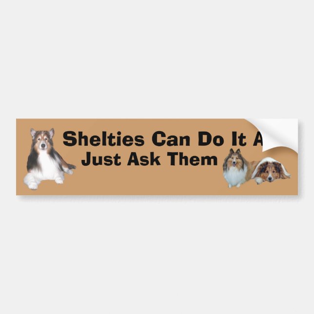 Sheltie Bumper Sticker (Front)