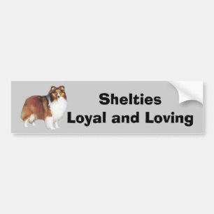 Sheltie Bumper Sticker