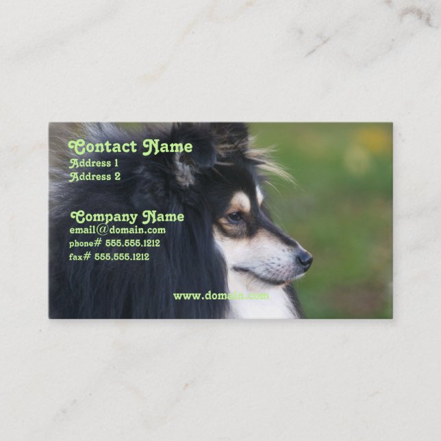 Sheltie Business Card (Front)
