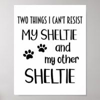 Sheltie Can't Resist Shelties Sheltie Mum Sheltie 