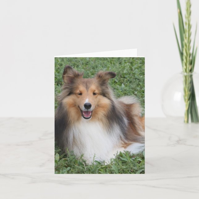 Sheltie Card (Front)