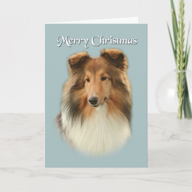Sheltie Christmas Card (Front)