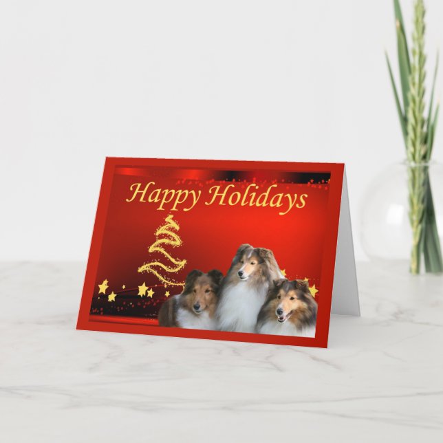 Sheltie Christmas Card Stars (Front)