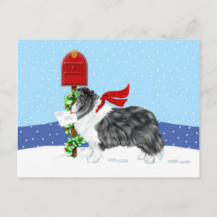 Sheltie Christmas Mail Bi Black Holiday Postcard