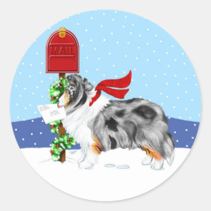 Sheltie Christmas Mail Blue Merle Classic Round Sticker