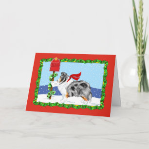 Sheltie Christmas Mail Blue Merle Holiday Card
