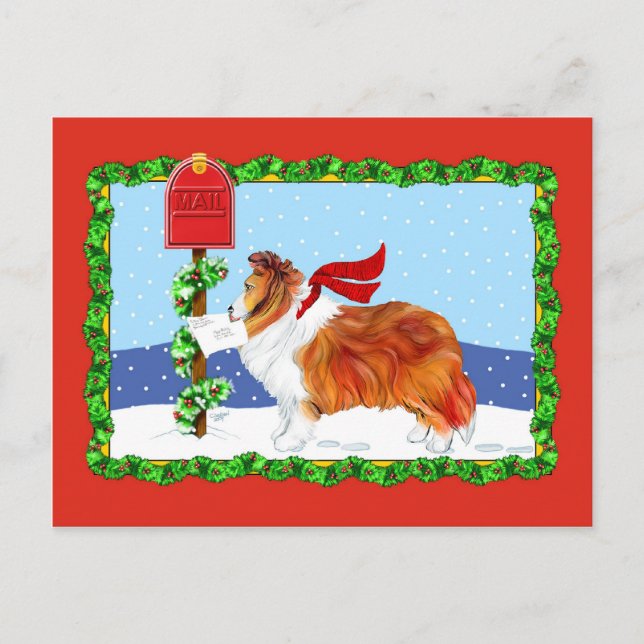 Sheltie Christmas Mail Sable Holiday Postcard (Front)