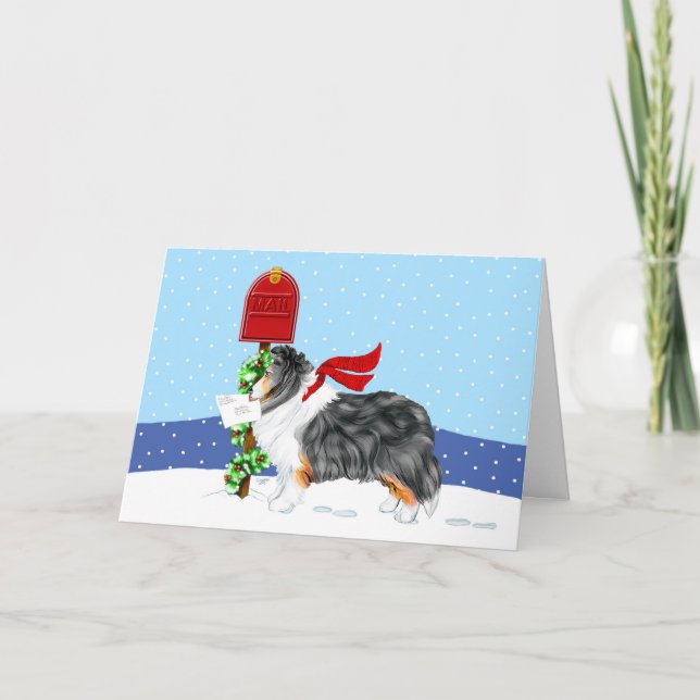 Sheltie Christmas Mail Tri Colour Holiday Card (Front)