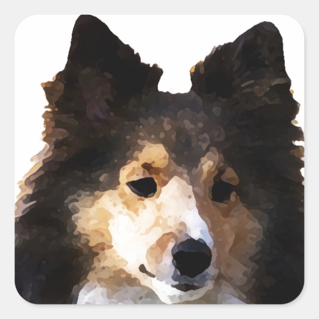 Sheltie Dog painting sketch Square Sticker (Front)