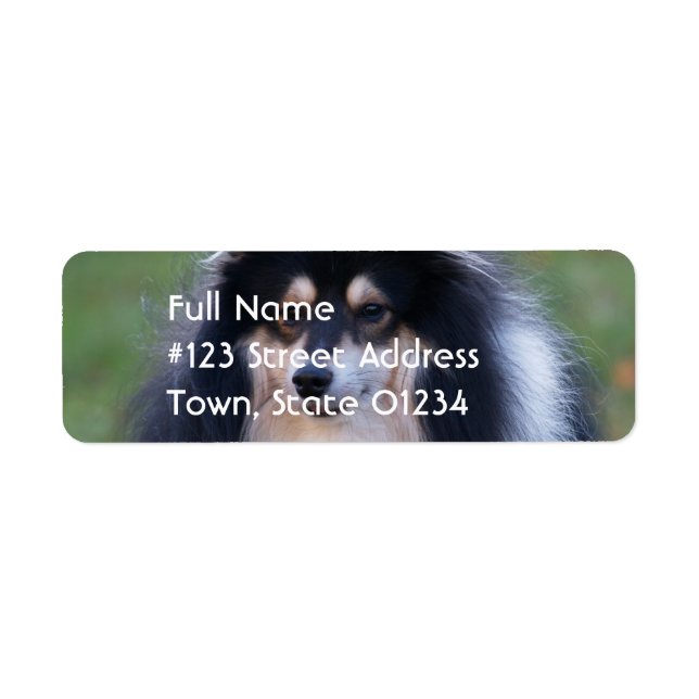 Sheltie Dog Return Address Label (Front)