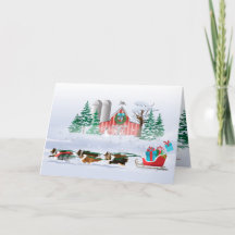 Sheltie Dogs Brown, Black and Grey, Pulling Sleigh