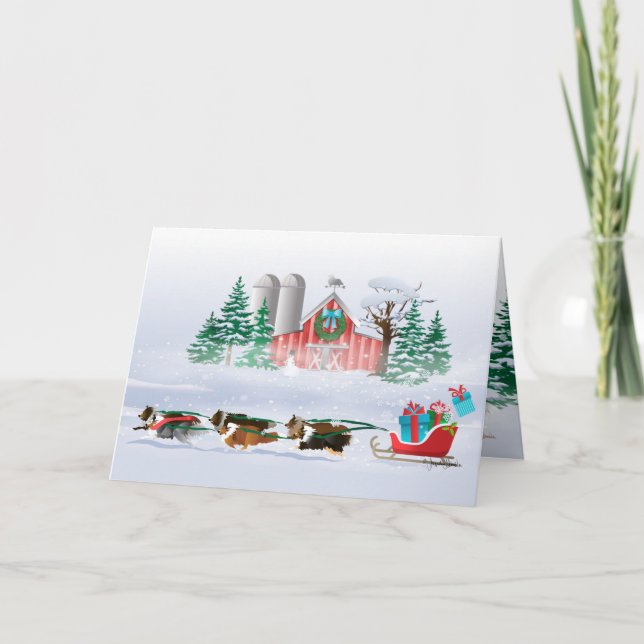 Sheltie Dogs Brown, Black and Grey, Pulling Sleigh Holiday Card (Front)