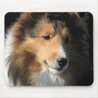 Sheltie face mouse mat