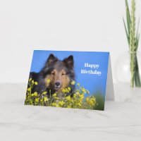 Sheltie Floral Photo Birthday