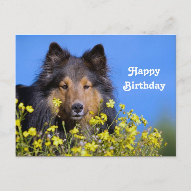 Sheltie Floral Photo Birthday Postcard (Front)