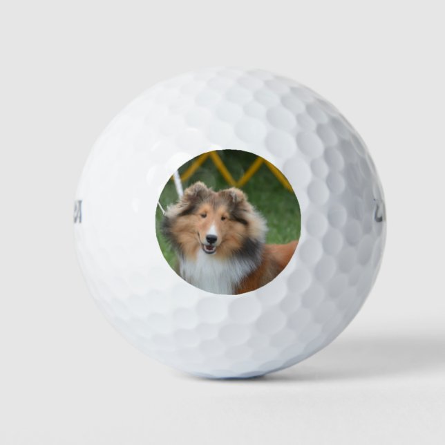 Sheltie Golf Balls (Front)