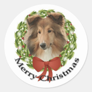 Sheltie Holiday #3 Sticker