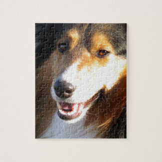 Sheltie Jigsaw Puzzle