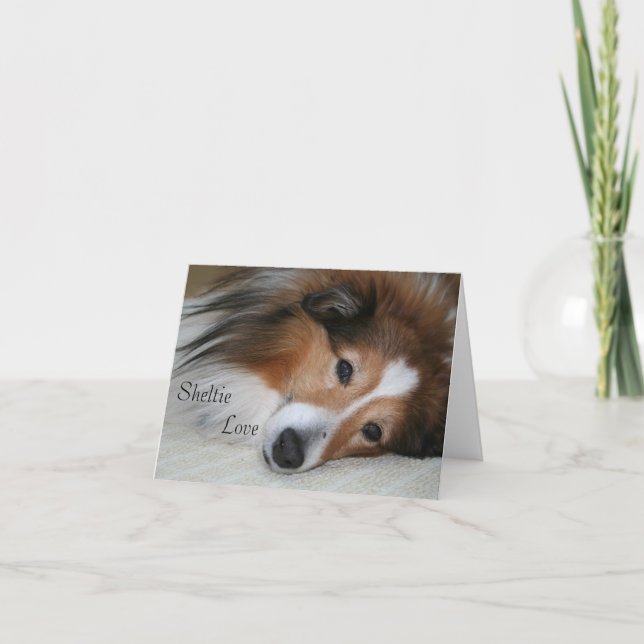Sheltie Love Card (Front)