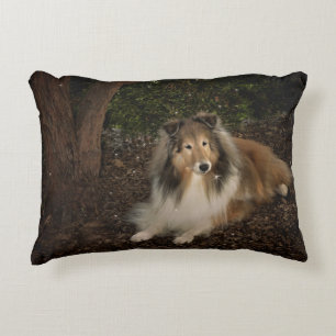 Sheltie Magic Pillow