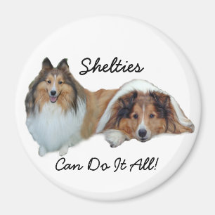 Sheltie Magnet