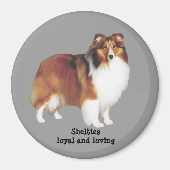 Sheltie Magnet (Front)