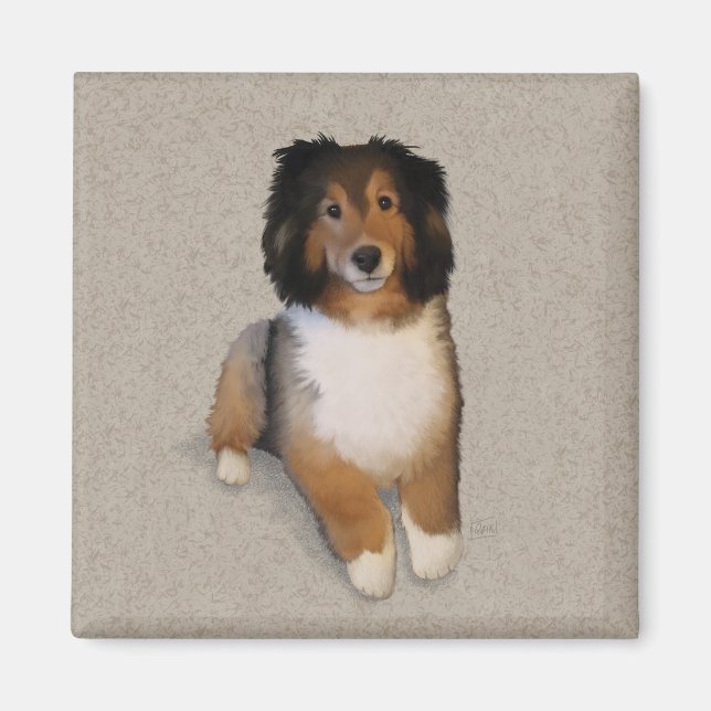 Sheltie mix dog portrait  magnet (Front)