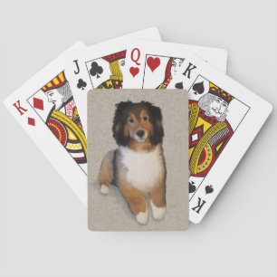 Sheltie mix dog portrait  playing cards