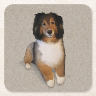 Sheltie mix dog portrait square paper coaster