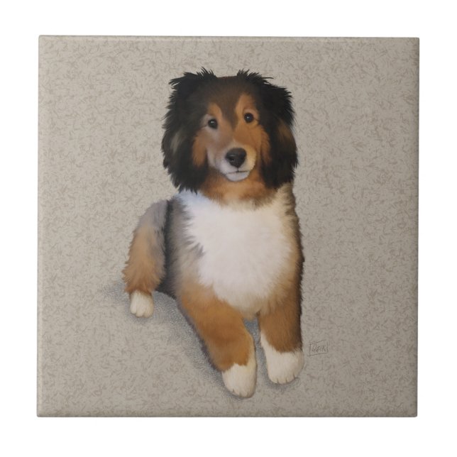 Sheltie mix dog portrait  tile (Front)