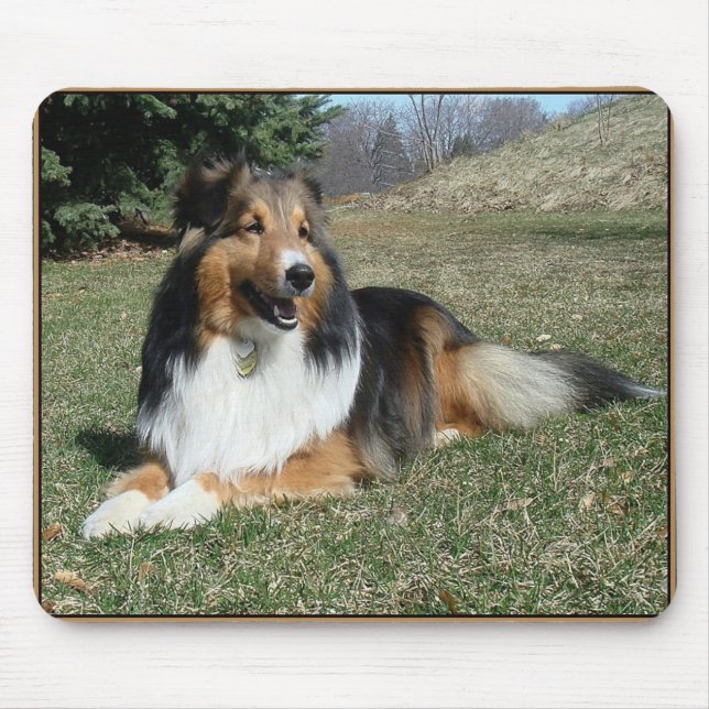 sheltie_mpad4 mouse mat (Front)