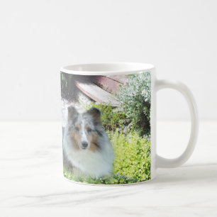 Sheltie Mug