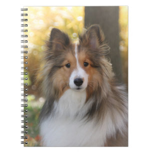 Sheltie Notebook
