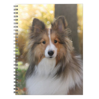 Sheltie Notebook
