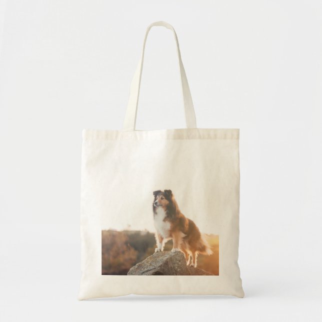 Sheltie on Cliff protectng heard during sunset Tote Bag (Front)