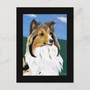 Sheltie postcard