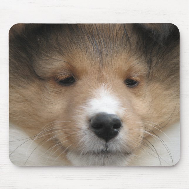 Sheltie puppy face mouse mat (Front)