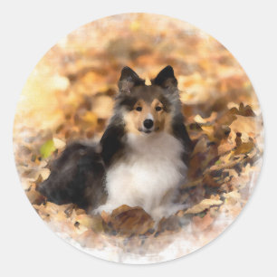 Sheltie Shetland Sheepdog Art Painting Classic Round Sticker