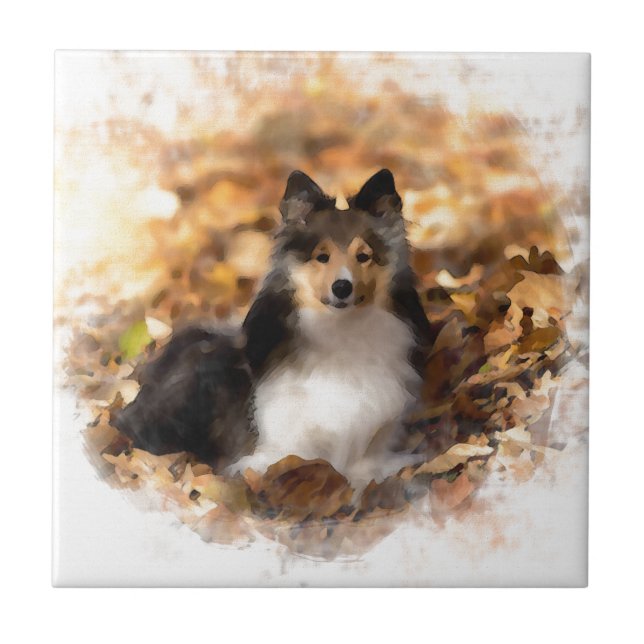 Sheltie Shetland Sheepdog Art Painting Tile (Front)
