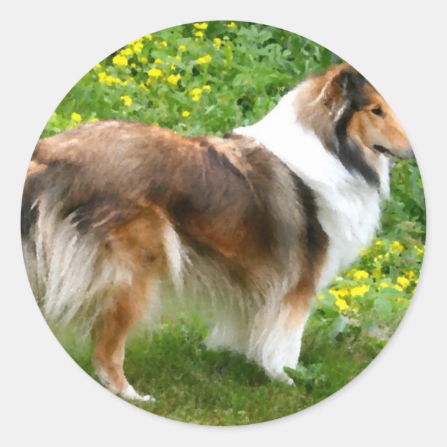 Sheltie Shetland Sheepdog Painting Classic Round Sticker (Front)