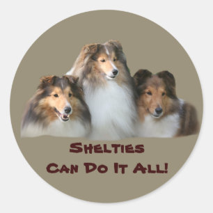 Sheltie Sticker