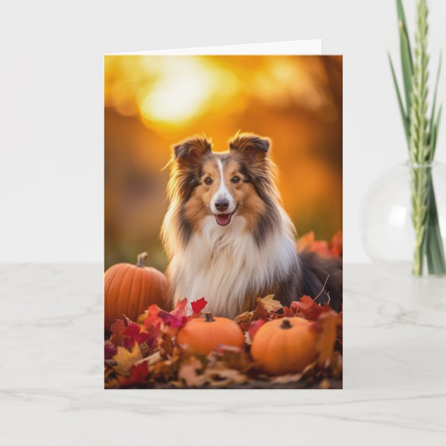 Sheltie Thanksgiving Holiday Card (Front)