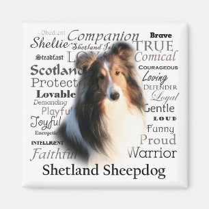 Sheltie Traits Magnet