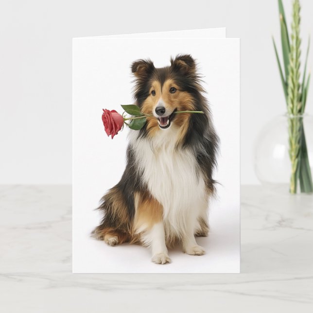 Sheltie Valentine Card (Front)
